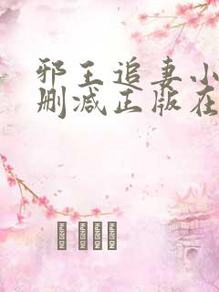 邪王追妻小说无删减正版在线阅读