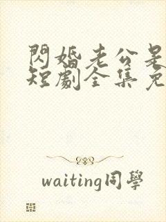 闪婚老公是总裁短剧全集免费播放