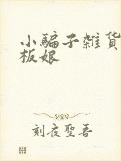 小骗子杂货铺老板娘