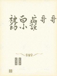 被白痴哥哥蛊惑的小说