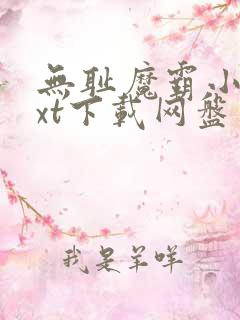 无耻魔霸小说txt下载网盘