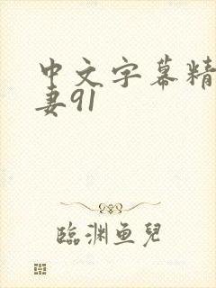 中文字幕精品人妻91