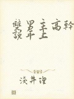 双男主高干文小说年上