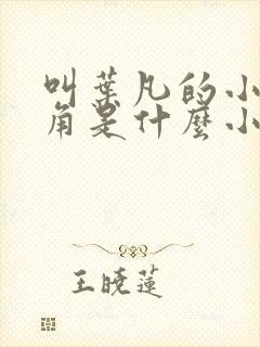 叫叶凡的小说主角是什么小说