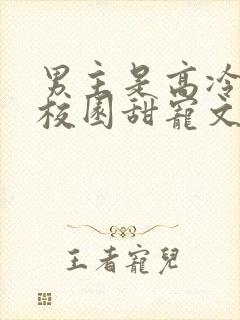 男主是高冷校草校园甜宠文