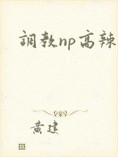 调教np高辣文