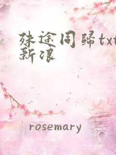 殊途同归txt新浪