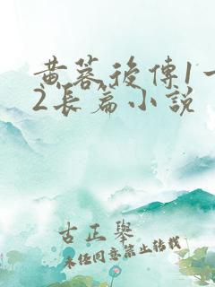 黄蓉后传1一32长篇小说