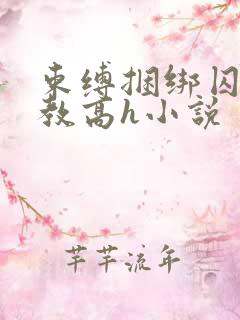 束缚捆绑囚禁调教高h小说