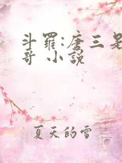 斗罗:唐三是我哥 小说