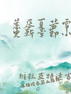 叶辰夏若雪最新更新章节小说