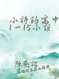小诗的高中日记1一15小说