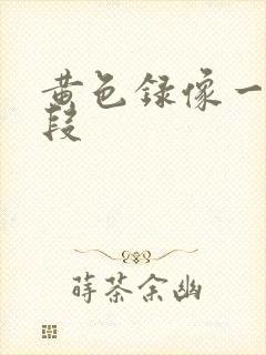 黄色录像一级片段