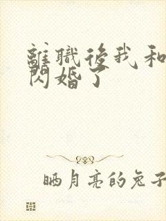 离职后我和上司闪婚了