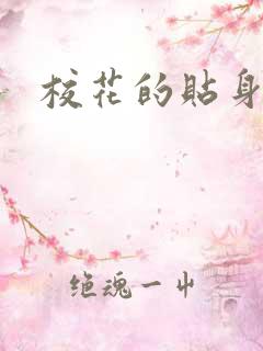 校花的贴身杀手