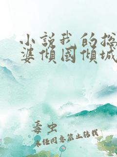 小说我的总裁老婆倾国倾城在线阅读