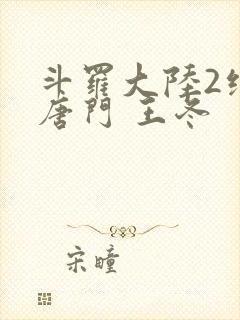 斗罗大陆2绝世唐门 王冬