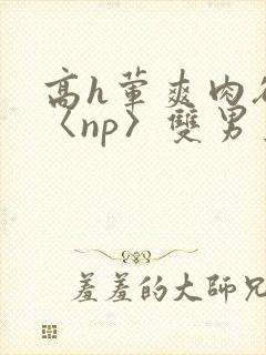 高h荤爽肉欲文〈np〉双男主