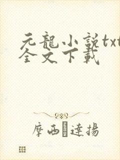 元龙小说txt全文下载