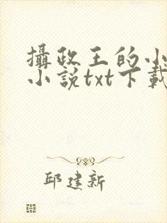 摄政王的小闲妻小说txt下载