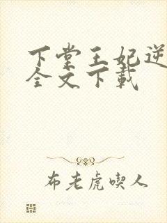 下堂王妃逆袭记全文下载