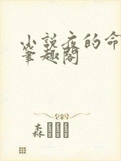 小说夜的命名术笔趣阁