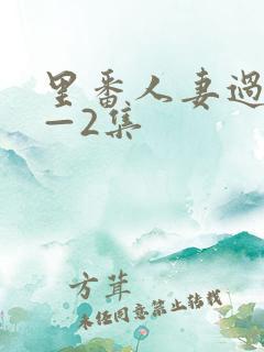 里番人妻过夜1—2集