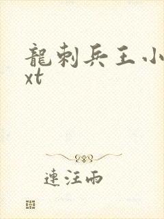 龙刺兵王小说txt
