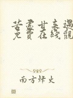 苦尽甘来遇见你免费在线观看