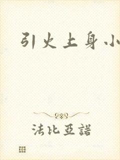 引火上身小说