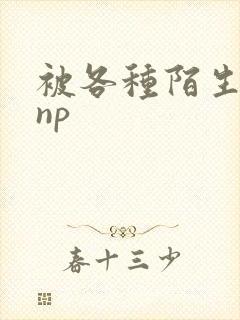 被各种陌生人 np