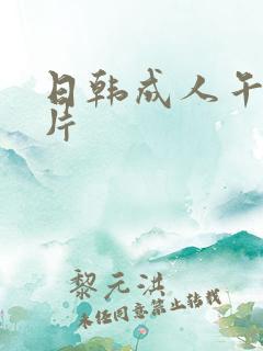 日韩成人午夜毛片