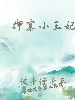 押寨小王妃