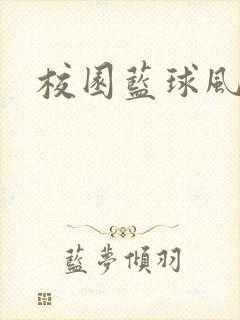 校园蓝球风云