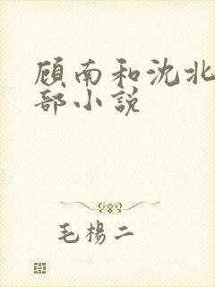 顾南和沈北是哪部小说