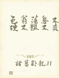 色翁荡息又大又硬又粗又爽