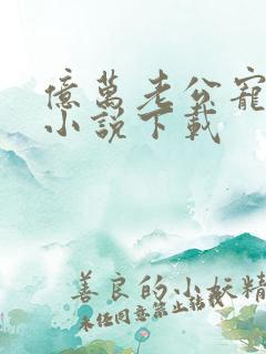 亿万老公宠上天小说下载