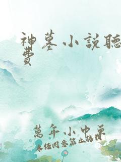 神墓小说听书免费