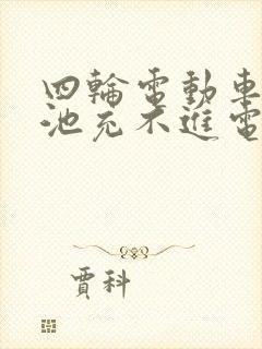 四轮电动车锂电池充不进电怎么办