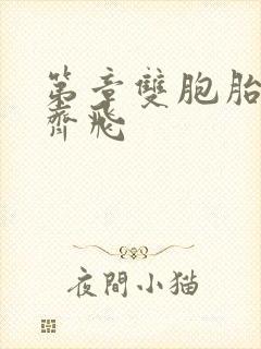 第章双胞胎姐妹齐飞