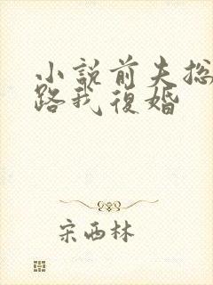 小说前夫总想套路我复婚