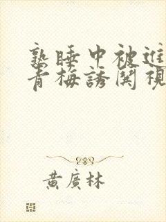 熟睡中被进了H青梅诱哄视频