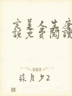 完美人生唐诚小说免费阅读