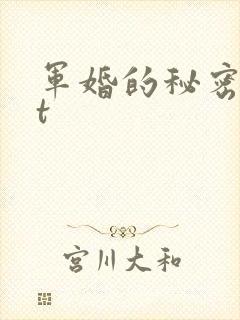 军婚的秘密txt