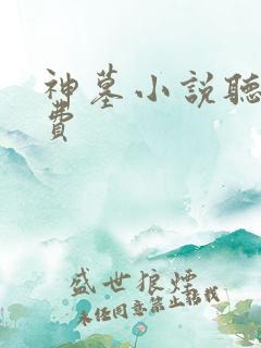 神墓小说听书免费