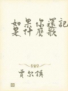 如果你还记得我是什么歌