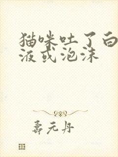 猫咪吐了白色黏液或泡沫