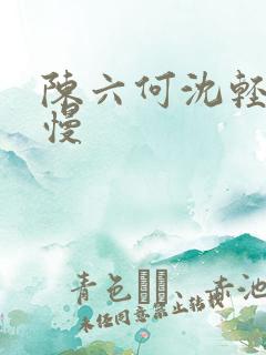 陈六何沈轻舞最慢
