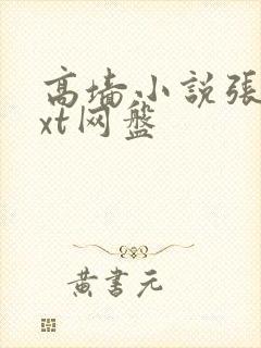 高墙小说张叙txt网盘