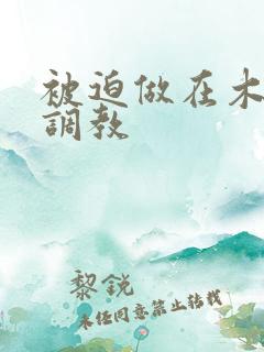 被迫做在木马上调教